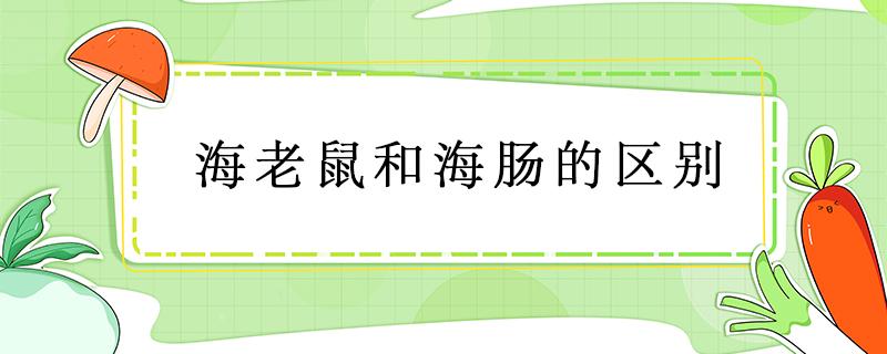 海老鼠和海肠的区别 海老鼠和海肠子的区别