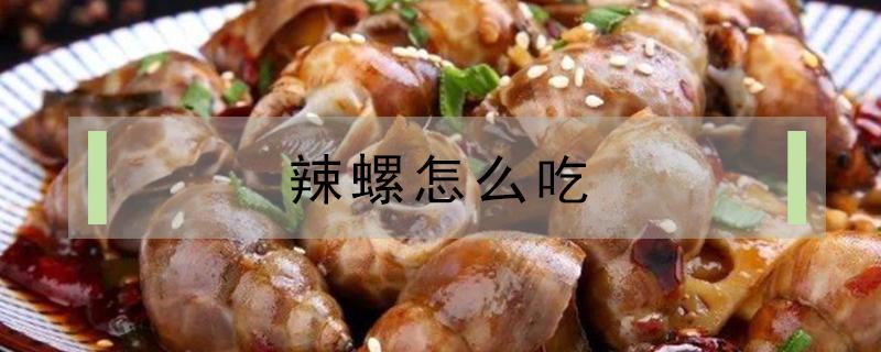 辣螺怎么吃（辣螺怎么吃里面的肉）