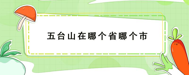 五台山在哪个省哪个市（五台山在哪个省哪个市怎么读）