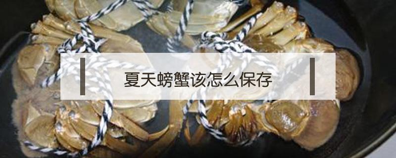 夏天螃蟹该怎么保存（冬天保存螃蟹的方法）