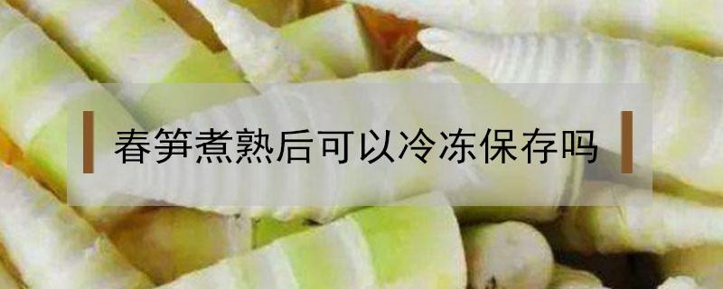 春笋煮熟后可以冷冻保存吗（煮好的春笋能放冰箱冷冻吗）