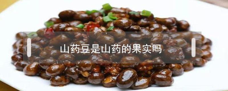 山药豆是山药的果实吗（山药豆是果实吗?）