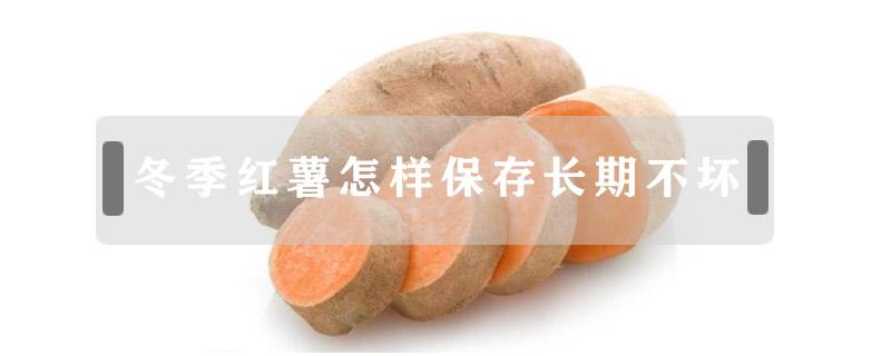 冬季红薯怎样保存长期不坏 红薯过冬怎么保存不腐烂?