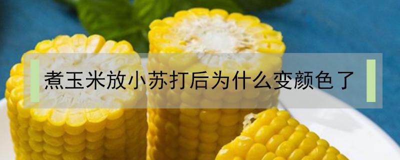 煮玉米放小苏打后为什么变颜色了 煮玉米放小苏打后为什么变颜色了怎么办