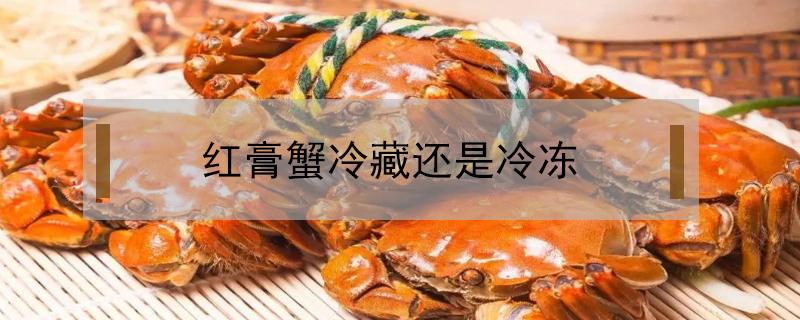 红膏蟹冷藏还是冷冻 红膏炝蟹冷冻还是冷藏