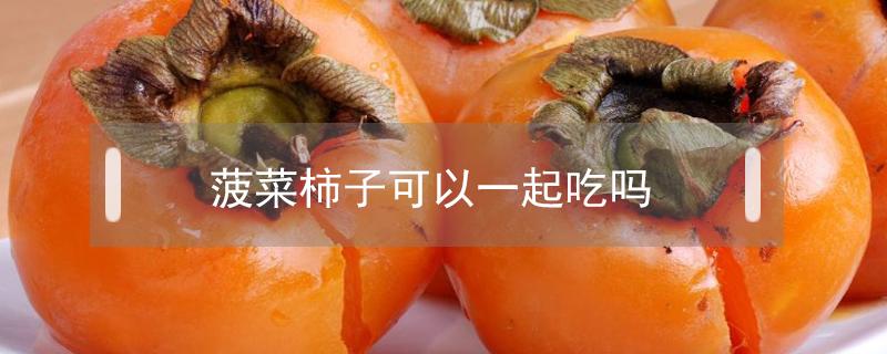 菠菜柿子可以一起吃吗（柿子能菠菜一起吃吗?）