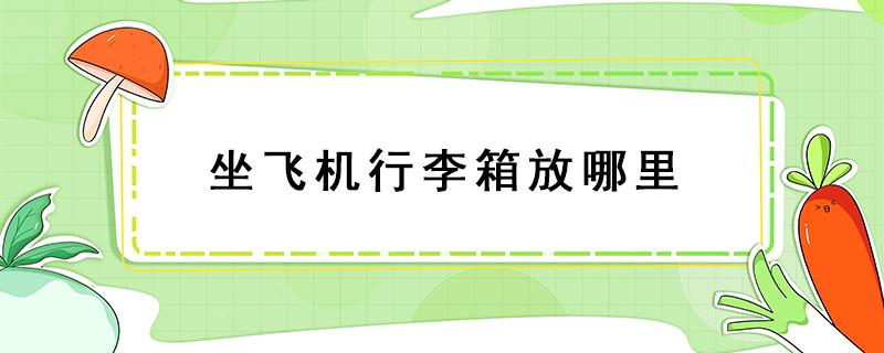 坐飞机行李箱放哪里 坐飞机行李箱放哪里不想托运