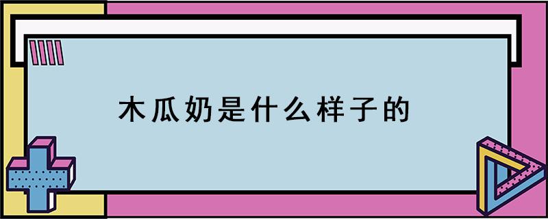 木瓜奶是什么样子的 木瓜奶还有什么