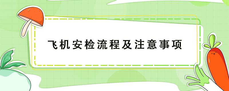 飞机安检流程及注意事项（坐飞机安检流程）