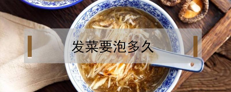 发菜要泡多久 发菜需要泡多久