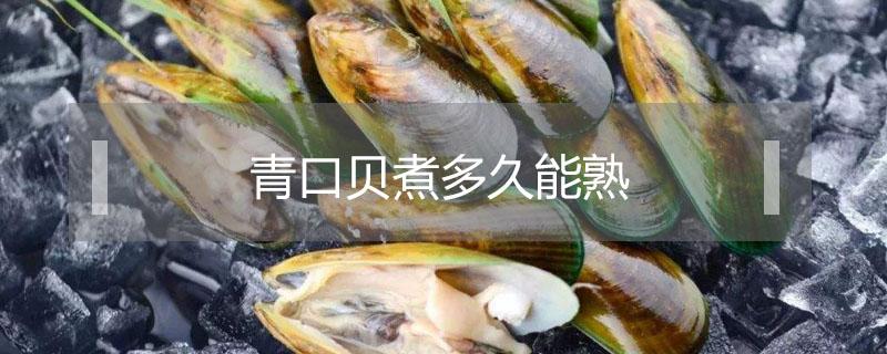 青口贝煮多久能熟