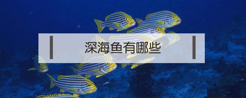 深海鱼有哪些 深海鱼有哪些适合孕妇吃