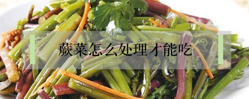 蕨菜怎么处理才能吃（野生蕨菜怎么处理才能吃）