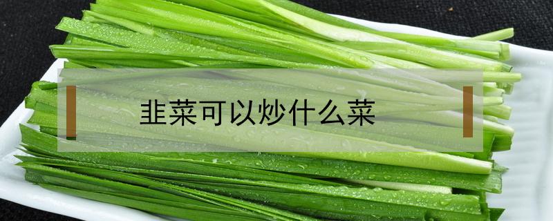 韭菜可以炒什么菜（韭菜可以炒什么菜对幼儿吃了好）