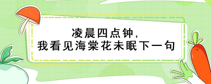 凌晨四点钟,我看见海棠花未眠下一句（凌晨四点钟,我看见海棠花未眠下一句什么意思）