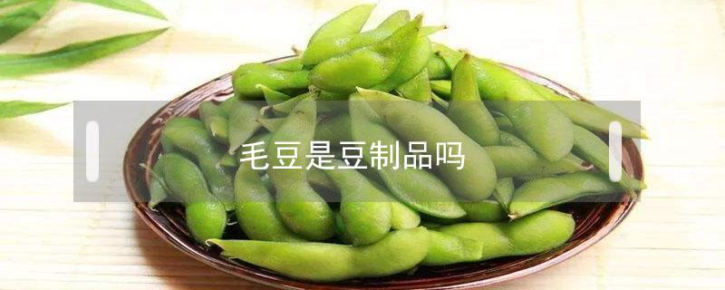 毛豆是豆制品吗（毛豆是豆制品吗,痛风能吃吗）