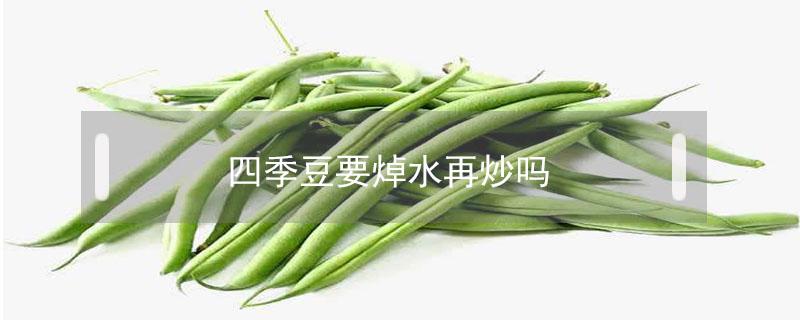 四季豆要焯水再炒吗 四季豆要焯水再炒吗?知乎