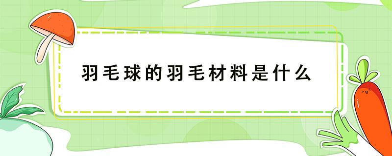 羽毛球的羽毛材料是什么（羽毛球的羽毛材料是什么码）