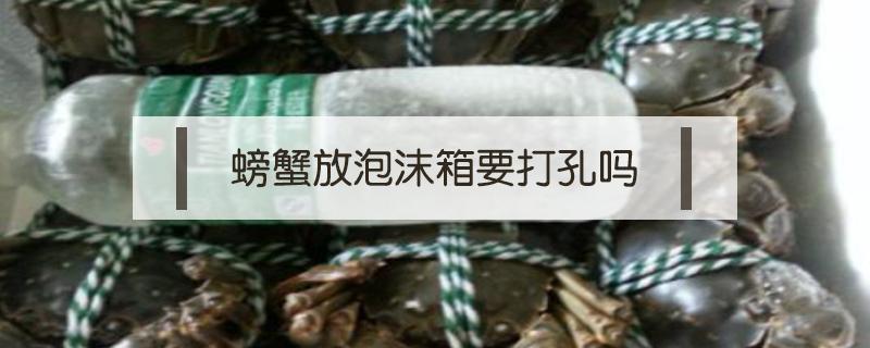 螃蟹放泡沫箱要打孔吗