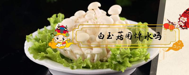 白玉菇用焯水吗 白玉菇用不用焯水?