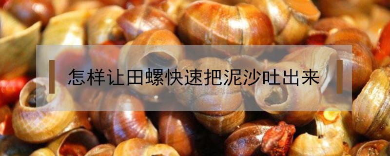 怎样让田螺快速把泥沙吐出来 怎样快速让田螺吐出泥巴