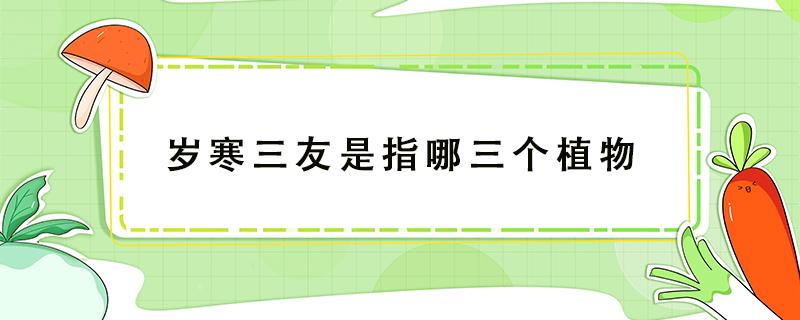 岁寒三友是指哪三个植物（岁寒三友是指哪三个植物精神）