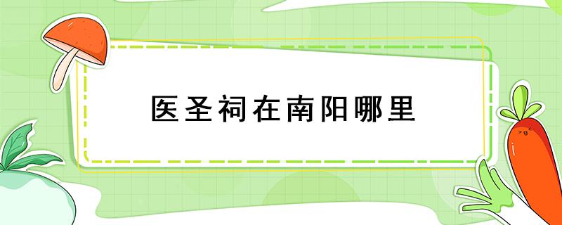 医圣祠在南阳哪里 南阳医圣祠在什么位置