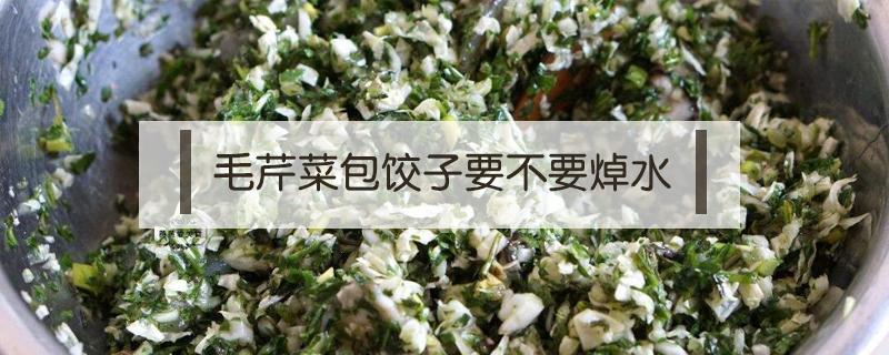 毛芹菜包饺子要不要焯水 芹菜包饺子需不需要焯水