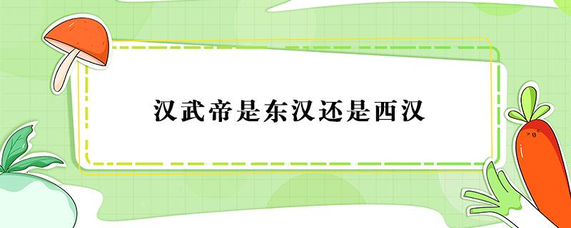 汉武帝是东汉还是西汉（汉文帝属于东汉还是西汉）