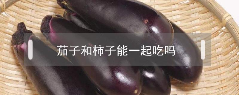 茄子和柿子能一起吃吗