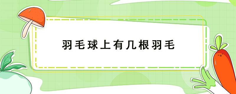 羽毛球上有几根羽毛（羽毛球上有几根羽毛?）