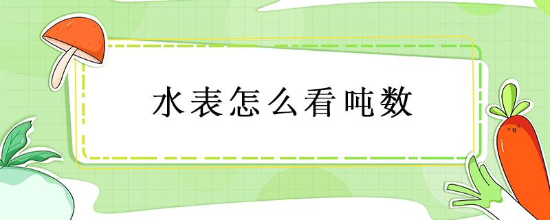 水表怎么看吨数（水表怎么看吨数红数字）