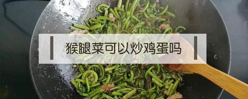 猴腿菜可以炒鸡蛋吗（猴腿菜能炒鸡蛋吗）