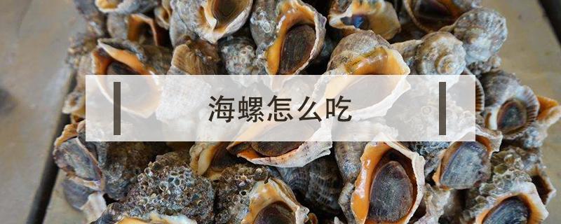 海螺怎么吃