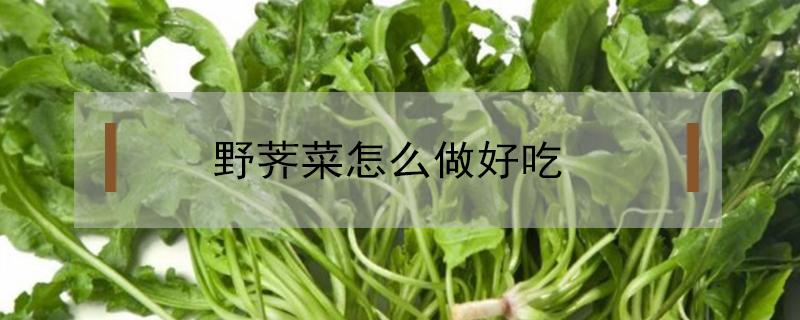 野荠菜怎么做好吃 野荠菜的做法