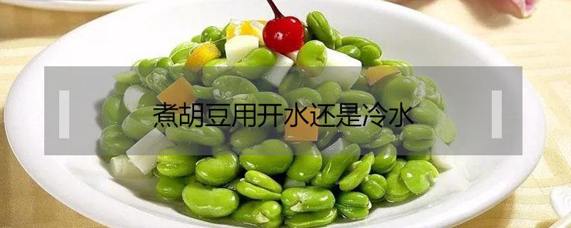 煮胡豆用开水还是冷水（煮新鲜胡豆是冷水下锅还是开水下锅）