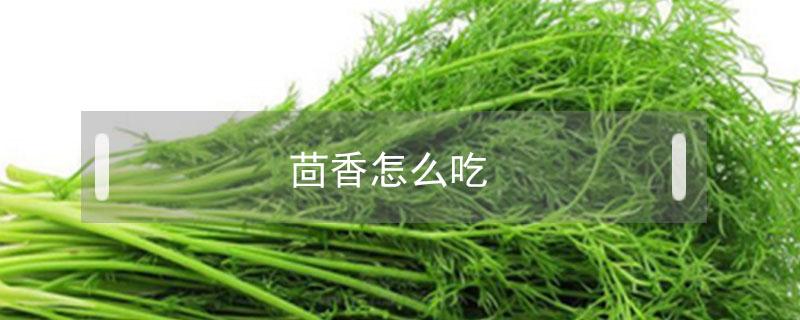 茴香怎么吃