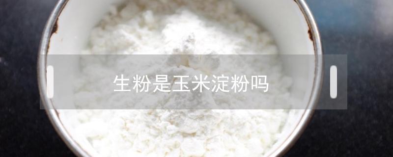 生粉是玉米淀粉吗（生粉是玉米淀粉吗?）