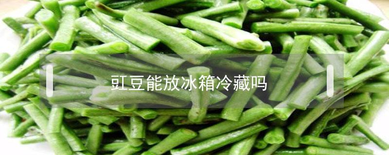 豇豆能放冰箱冷藏吗 豇豆可以冷藏吗