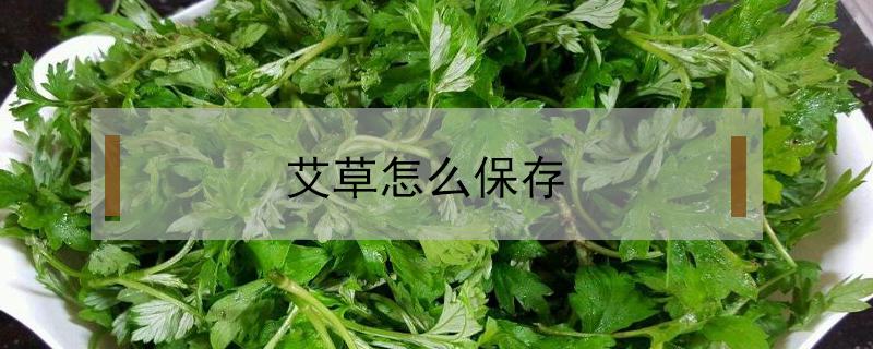 艾草怎么保存（艾叶怎么保存三年）