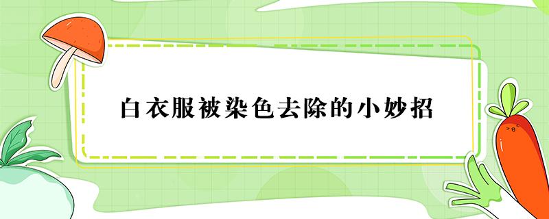 白衣服被染色去除的小妙招（聚酯纤维白衣服被染色去除的小妙招）