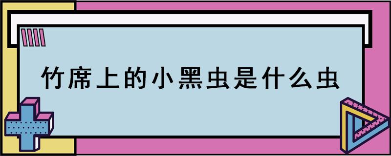 竹席上的小黑虫是什么虫（凉席上很多小小的黑色的虫子）