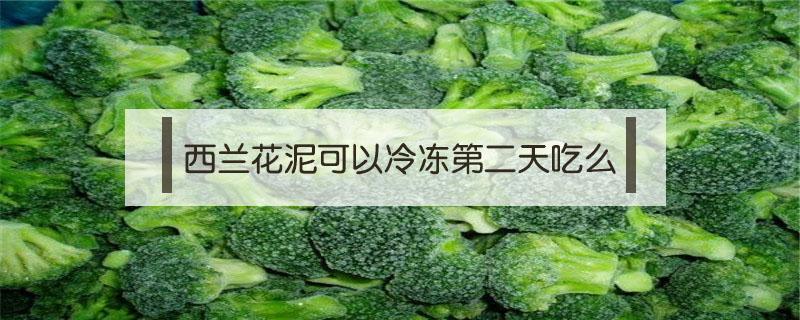 西兰花泥可以冷冻第二天吃么 宝宝辅食西兰花泥可以冷冻吗