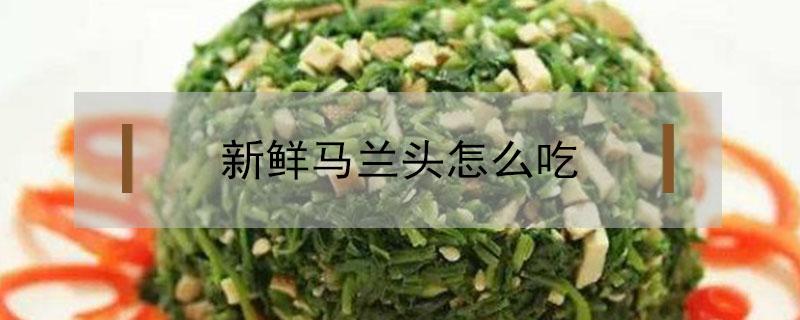 新鲜马兰头怎么吃（新鲜的马兰头吃法大全）