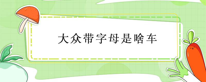 大众带字母是啥车 大众带字母多少钱