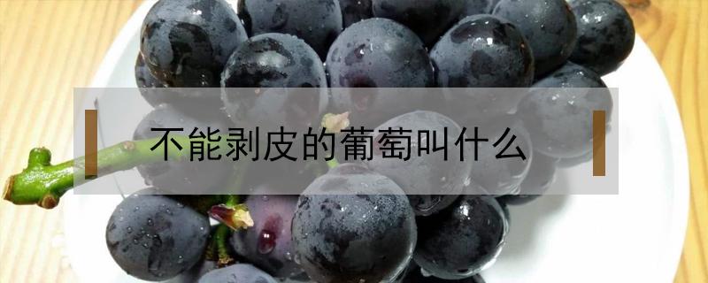 不能剥皮的葡萄叫什么（不用剥皮的葡萄叫什么）