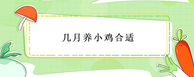 几月养小鸡合适 几月份适合养小鸡