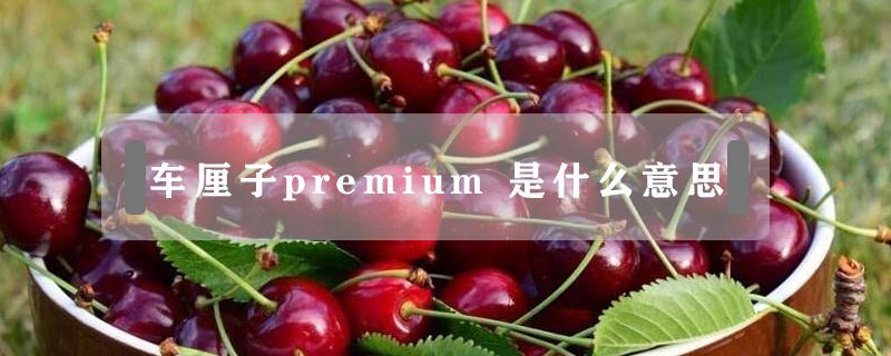 车厘子premium（车厘子premium cherries）