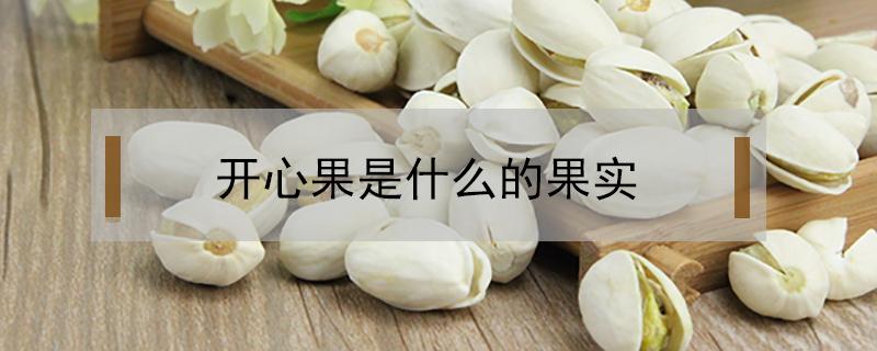 开心果是什么的果实（开心果是什么的果实图片）