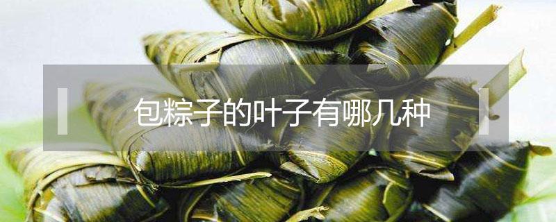 包粽子的叶子有哪几种 广东包粽子的叶子有哪几种